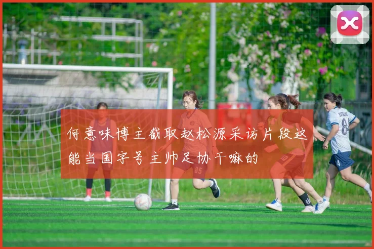 何意味博主截取赵松源采访片段这能当国字号主帅足协干嘛的